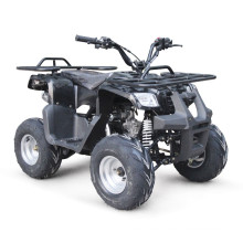 EPA 110CC ATV BICI DEL PATIO